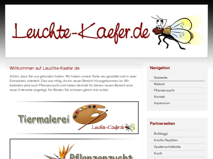 www.leuchte-kaefer.de