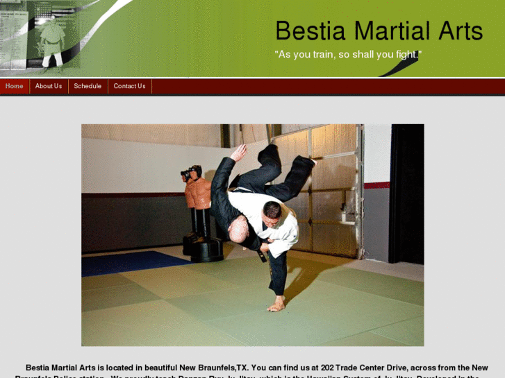 www.bestiamartialarts.com