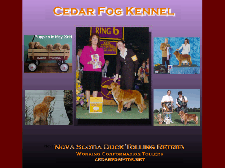 www.cedarfog.com