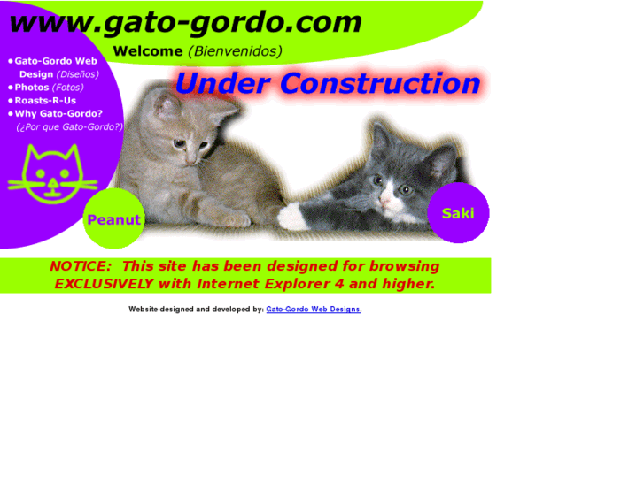 www.gato-gordo.com