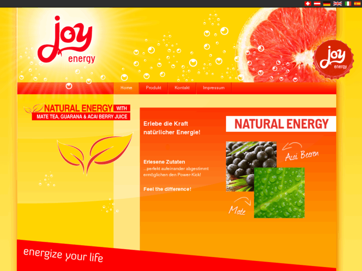 www.joy-energize-your-life.com