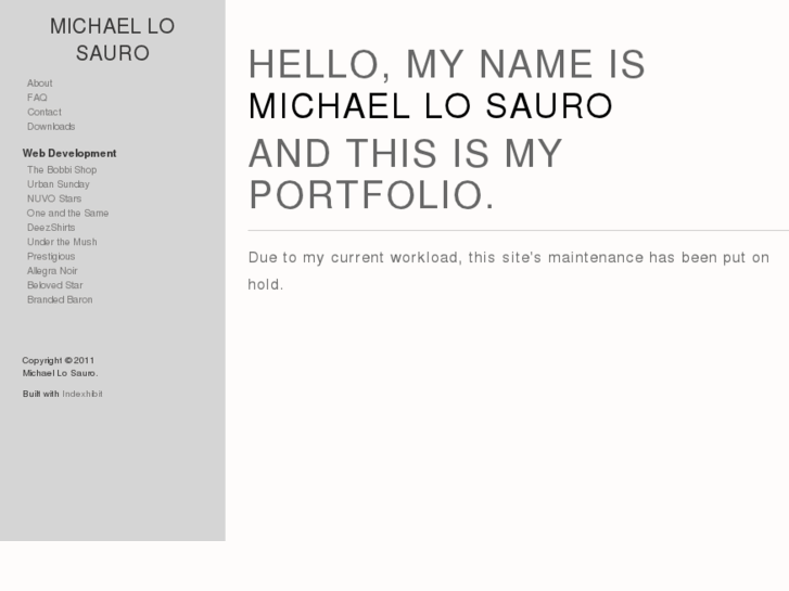 www.michaellosauro.com