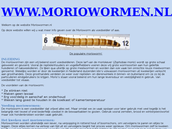 www.moriowormen.nl