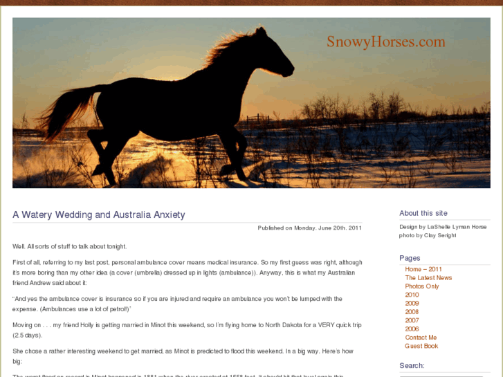 www.snowyhorses.com
