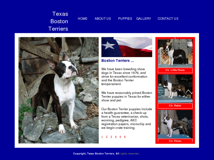 www.texasbostonterriers.com