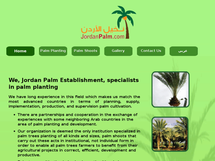 www.jordanpalm.com