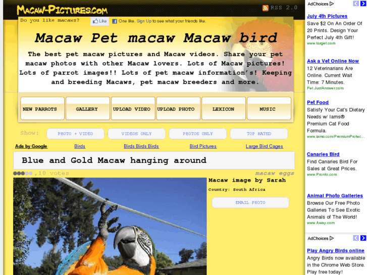 www.macaw-pictures.com