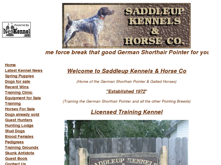 www.saddleupkennels.com