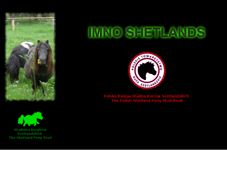www.shetland-pony.com.pl