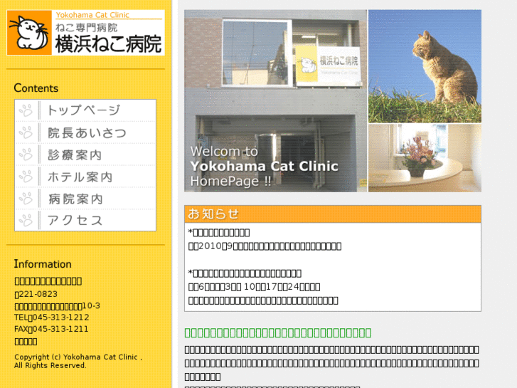 www.yokoneko.net