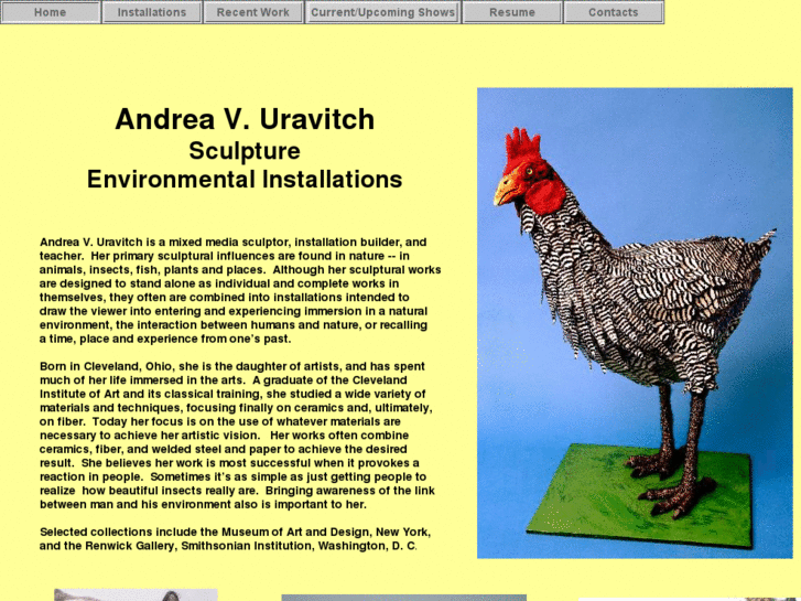 www.andreauravitch.net