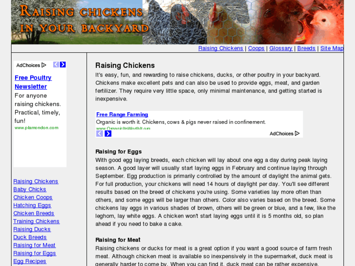 www.chicken-raising.com