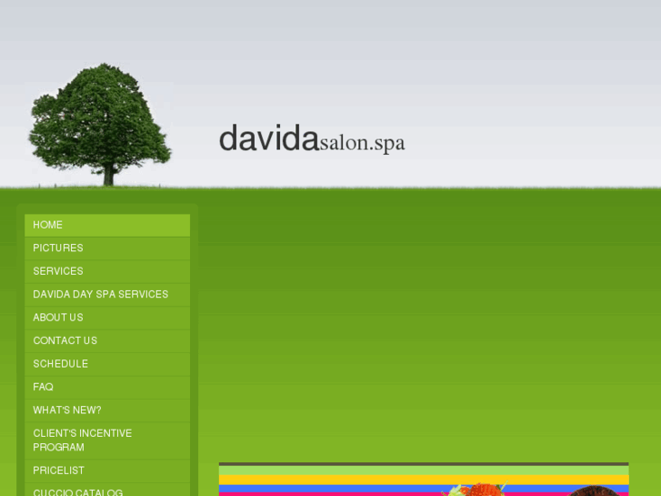 www.davidasalonspa.com