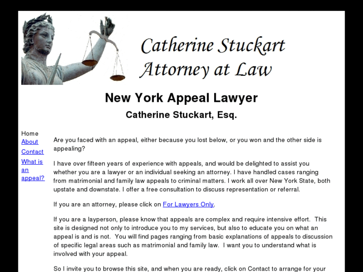 www.new-york-appeal-lawyer.com