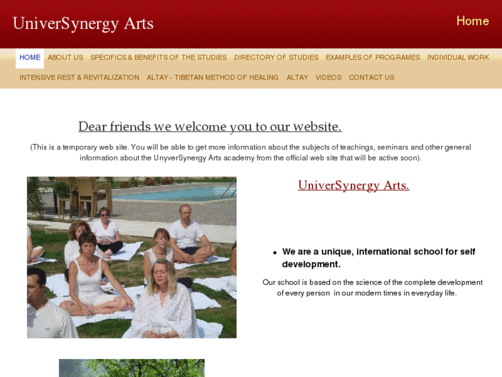 www.usynarts.com