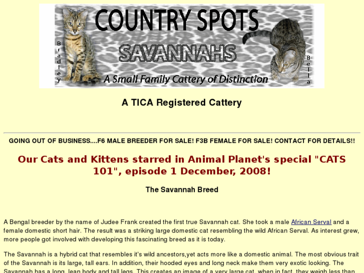 www.countryspotssavannahs.com