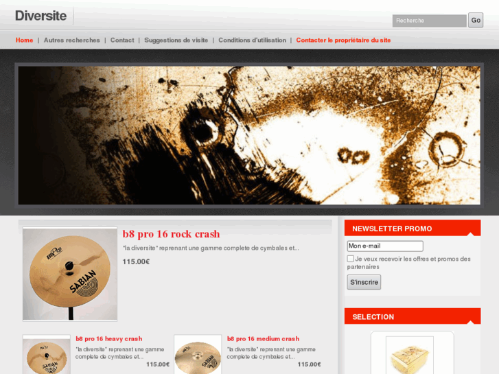 www.diversite.net