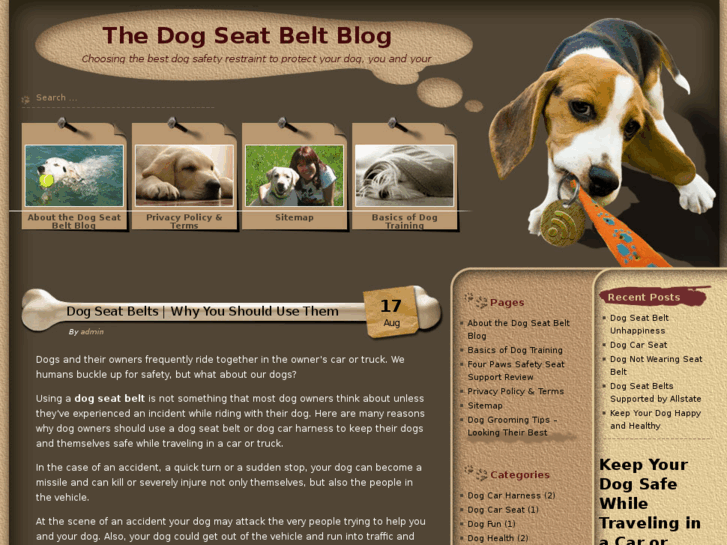 www.dogseatbelt.net