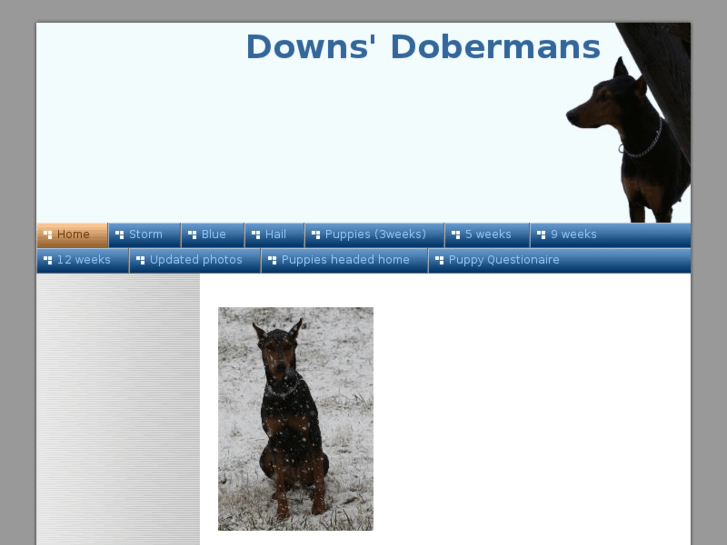 www.downshome.com