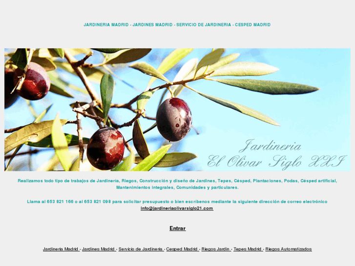 www.jardineriaolivarsiglo21.com