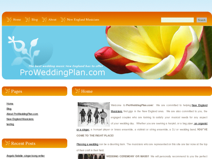 www.proweddingplan.com