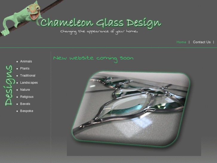 www.chameleonglassdesign.com