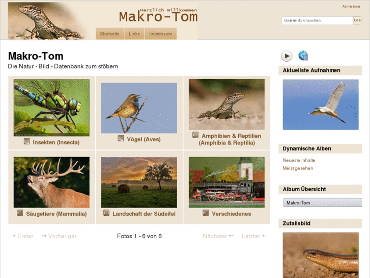 www.makro-tom.de