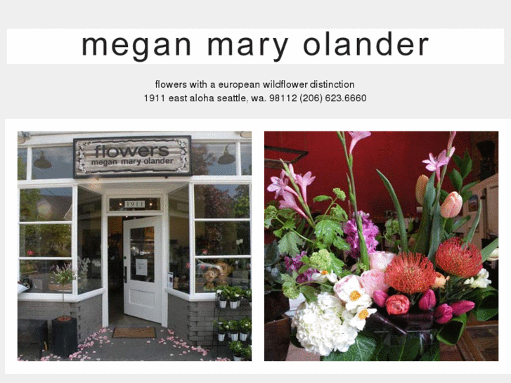 www.meganmaryolander.com