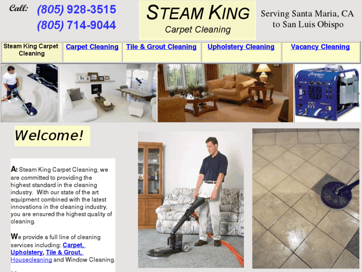 www.steamking-carpetcleaning.com