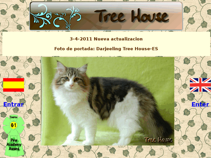 www.treehousecattery.es