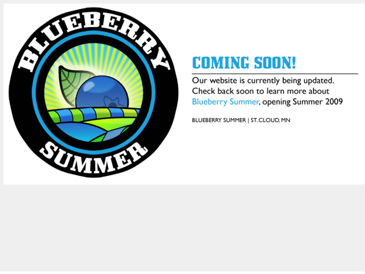 www.blueberrysummer.com