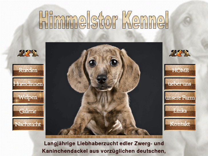 www.himmelstorkennel.com