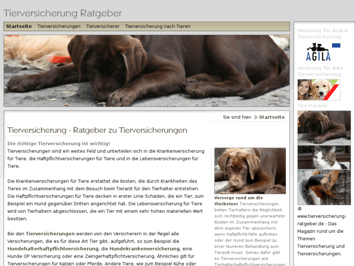 www.hundeschulen-nrw.de