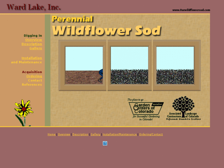 www.ourwildflowersod.com