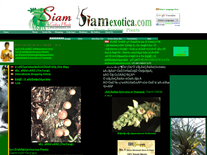 www.siamexotica.com