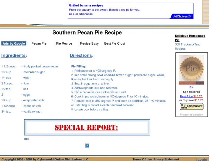 www.southern-pecan-pie-recipe.com