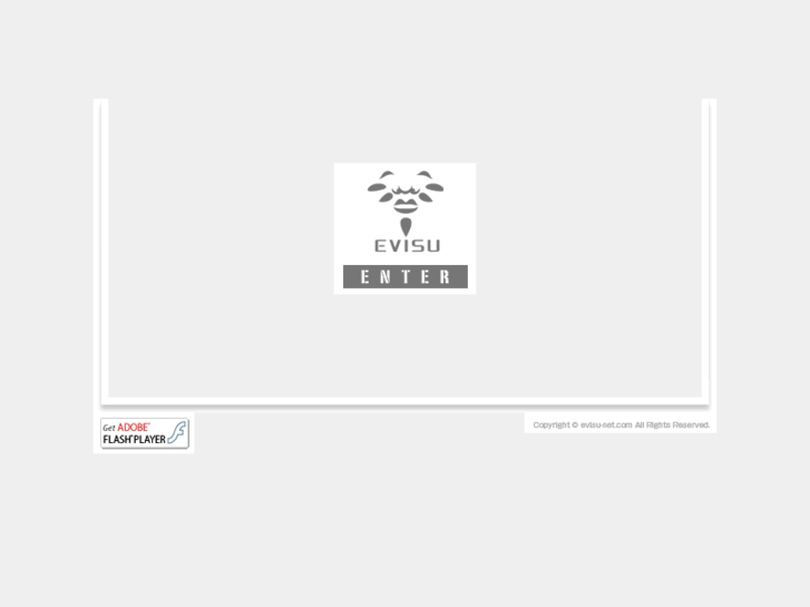 www.evisu-net.com