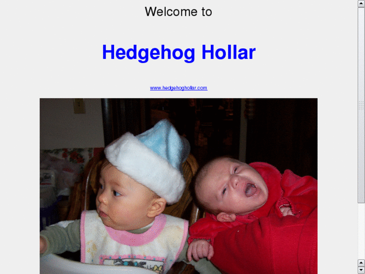 www.hedgehoghollar.com