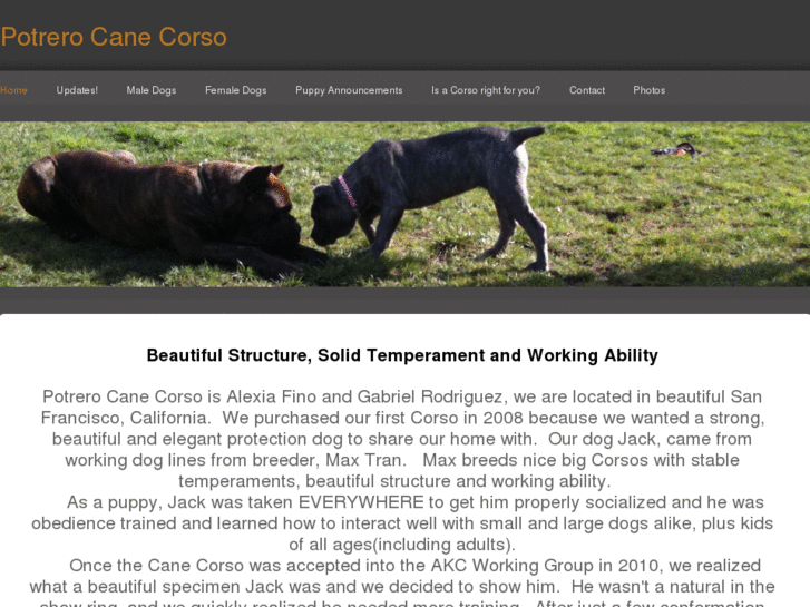 www.potrerocanecorso.com