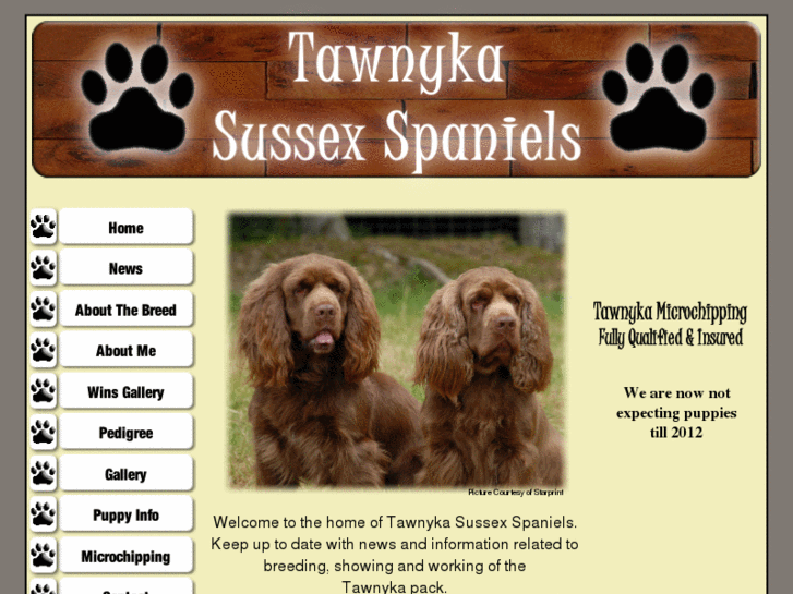 www.tawnykaspaniels.co.uk