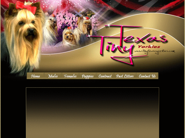 www.tinytexasyorkies.com