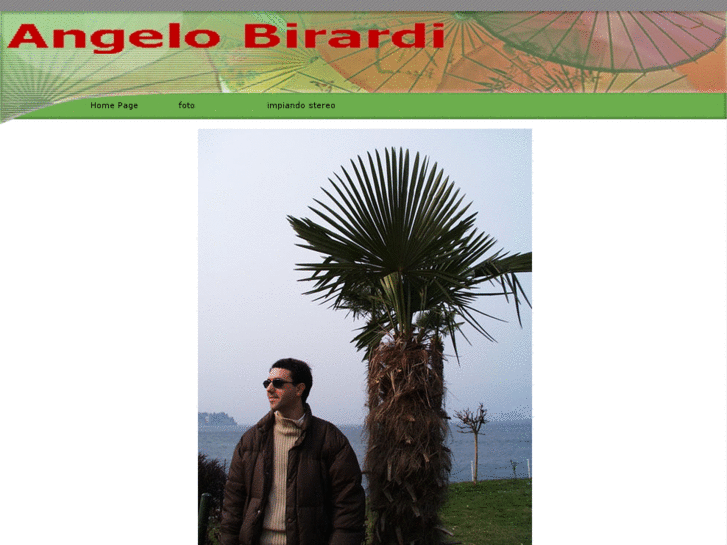 www.angelobirardi.com