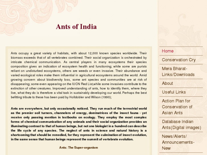 www.antdiversityindia.com