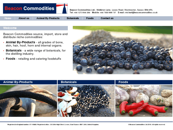 www.beaconcommodities.com