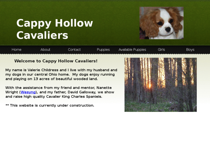 www.cappyhollow.com