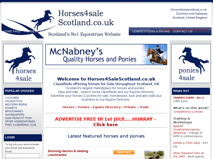 www.horses4salescotland.com