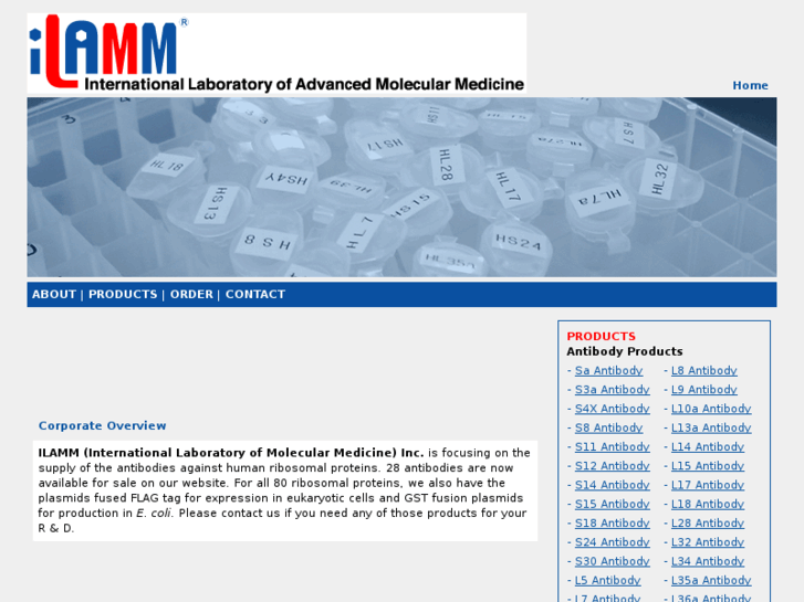 www.ilamm.com