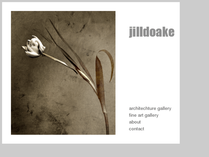 www.jilldoakephotography.com