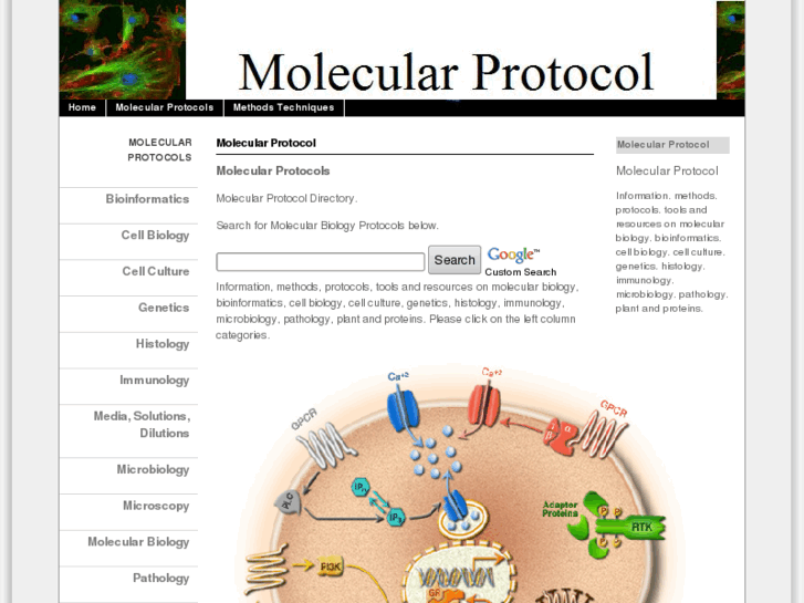 www.molecularprotocol.com