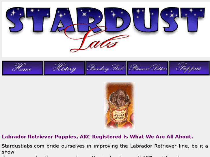 www.stardustlabs.com